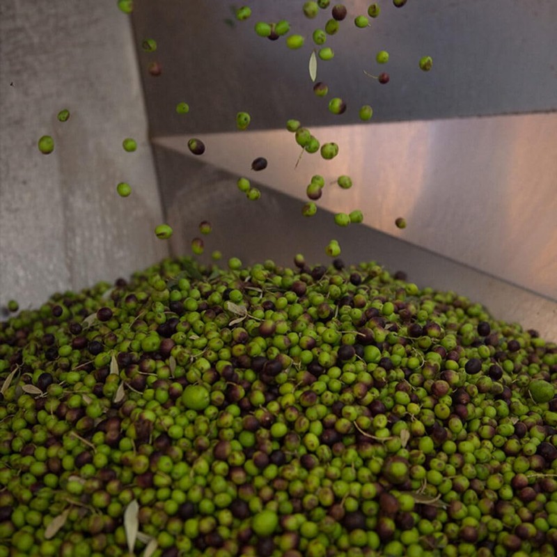 Marfuga Marfuga L'affiorante Extra Virgin Olive Oil 2019