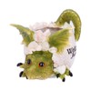 Nemesis Now U4747P9 Welcome Friends Pot 17cm, Resin, Green