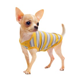 Puppy Clothes for Small Dogs - Cute Cotton Rib Dog Shirt, Sleeveless Breathable T-Shirt for Shih Tzu, Chihuahua, Yorkie,Summer Pet Outfit,Photo Shoot & Daily Wear（Meidum,Yellow,Fits 5-7 lbs Pets）