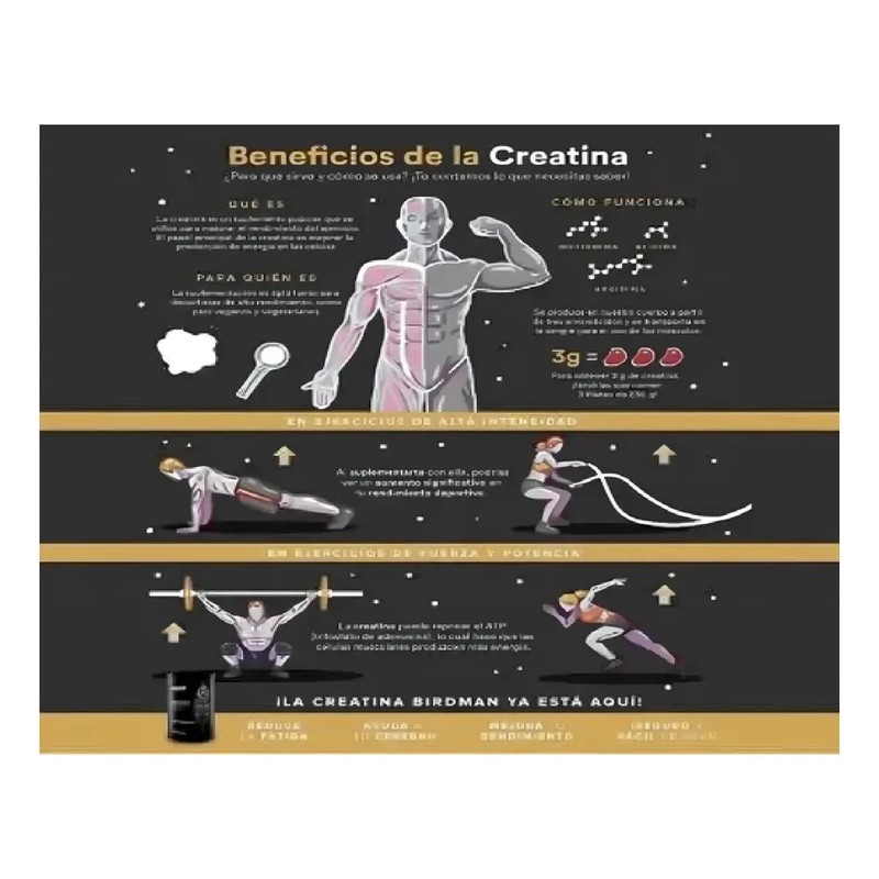 Birdman Performance Creatina Monohidratada 700g 140 Servi
