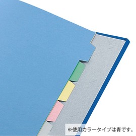 Kokuyo F-E620B Pipe Type File, A4, 2 Holes, Holds 200 Sheets, Blue