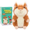 Talking Hamster - Stuffed Animals Toy for Kids 2 3