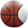 Autograph Mini baloncesto en blanco de 6 pulgadas sin base