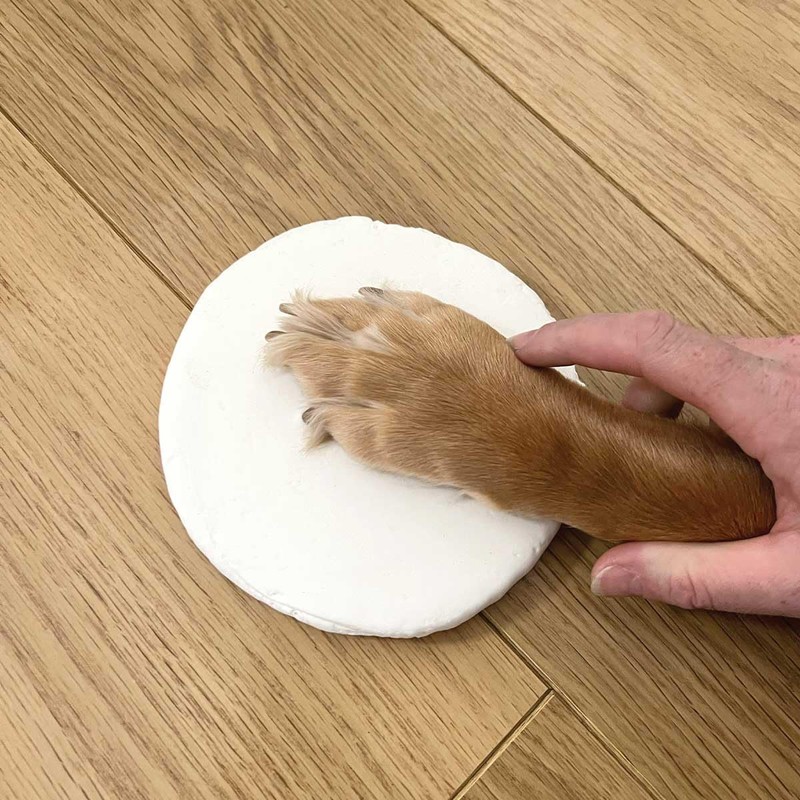 Clay Pet Paw Impression Kit | Clay Moulding Keepsake for