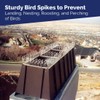 Bird-X Plastic Spikes Kit, Narrow Bird Spikes for Pigeons and