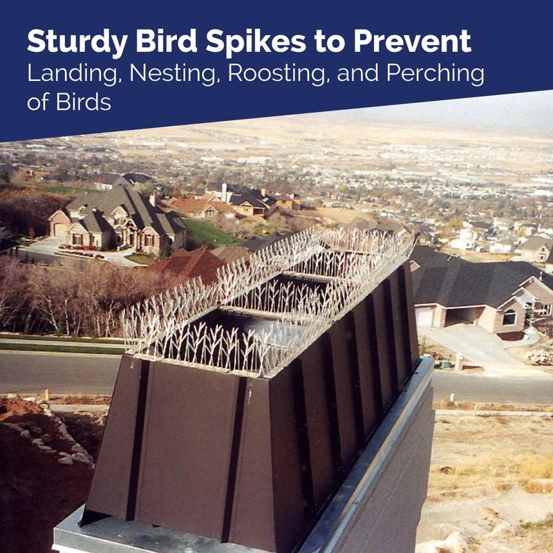 Bird-X Plastic Spikes Kit, Narrow Bird Spikes for Pigeons and