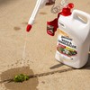 Spectracide Weed and Grass Killer, Pack of 1