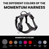 KYFLIE - No-Pull Reflective Dog Harness for Training & Daily