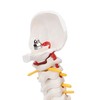 Vertebral Column Model Flexible Spine Caudal Vertebra Anatomical Model with