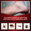 Eliminator Ant, Flea & Tick Killer Plus Lawn Insect Granules,