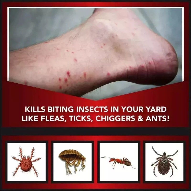 Eliminator Ant, Flea & Tick Killer Plus Lawn Insect Granules,