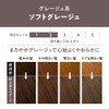 Liese Prettia Bubble Color Hair Dye