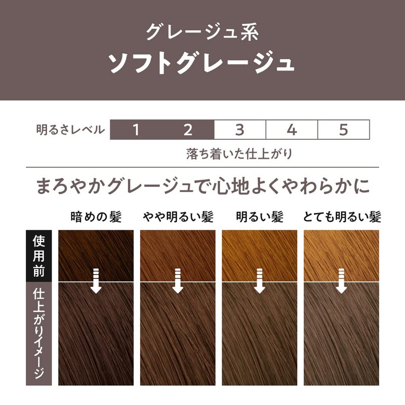Liese Prettia Bubble Color Hair Dye