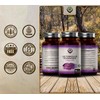 EN Lactobacillus Rhamnosus | 90 High Strength Rhamnosus Probiotic Capsules