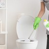 Set of 10 Toilet Brush Heads, Loose Toilet Brushes, 12
