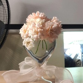 4cm*45 Yard Organza Chiffon Ribbon Gold Edge Sheer Chiffon Ribbon for Bouquet Gift Wrapping, Pink