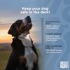 Max & Molly Matrix 2.0 Ultra LED, Dog Light, Leash