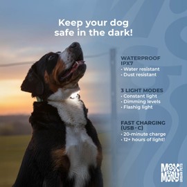 Max & Molly Matrix 2.0 Ultra LED, Dog Light, Leash & Collar, Stone Waterproof USB Charged, LED Dog Light, Glowing Dog Pendant for More Night Safety