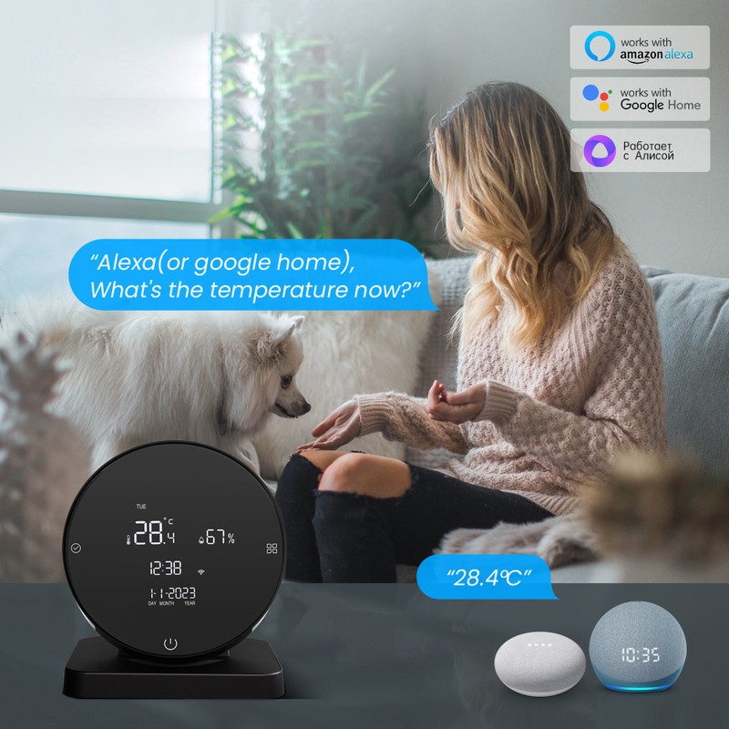 Tuya WIFI USB Rechargeable Temperature and Humidity Detector Household Office