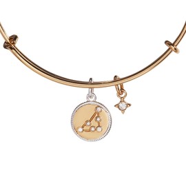Alex and Ani Zodiac Bangle
