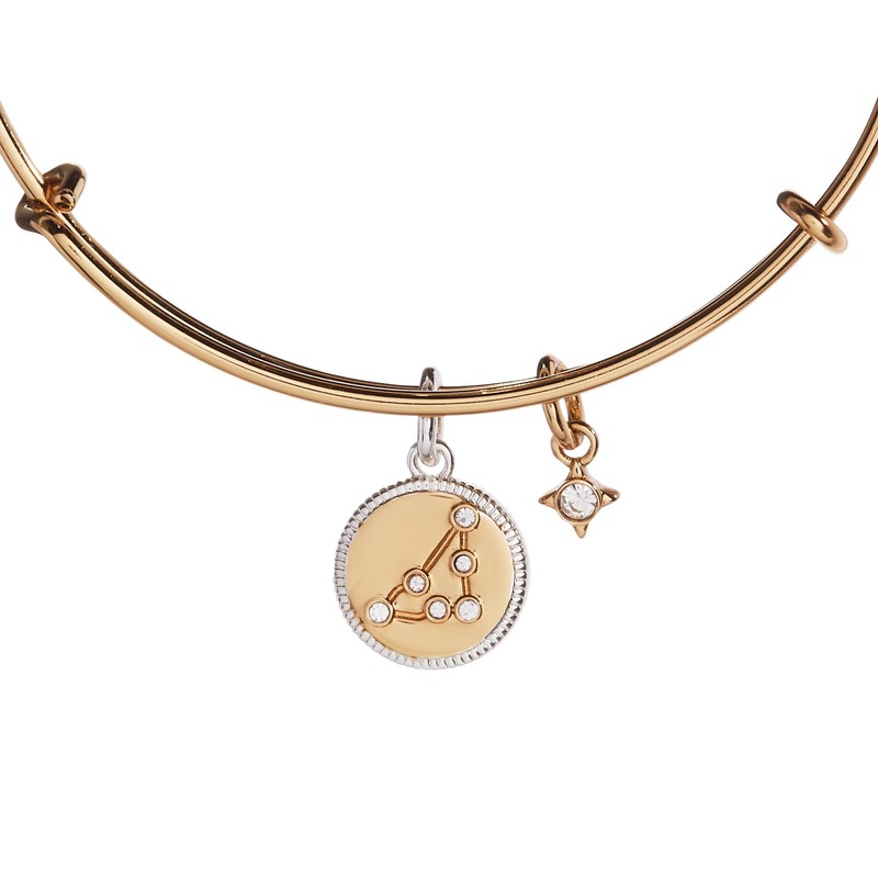 Alex and Ani Zodiac Bangle