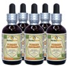 Turkey Rhubarb (Rheum palmatum) Tincture, Organic Dried Roots Liquid Extract