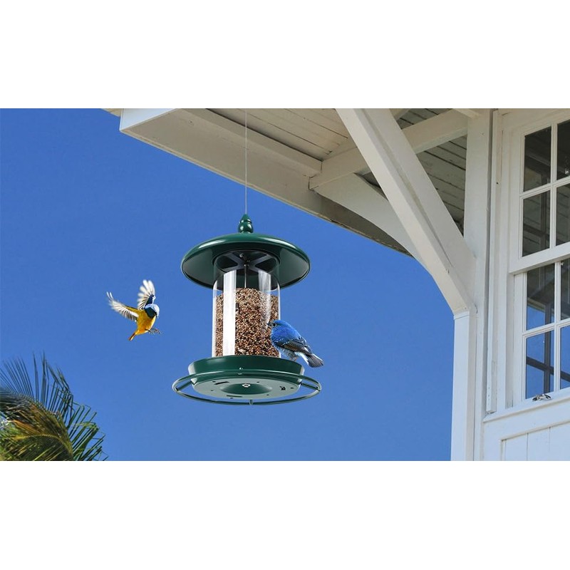 Bird Feeder for Outdoors, Holds 1.50LB Seeds,