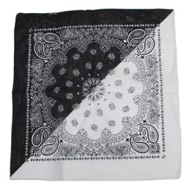 Zac's Alter Ego Half & Half Paisley Vintage Style Cotton Bandana