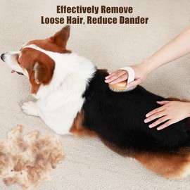 Soft Boar Bristle Pet Palm Brush for Short Haired Dogs and Cats with Band, Reduce Shedding, Ergonomic Dog Brush, Easy to Hold and Reduces Stress On Your Wrist | Ideal for Daily Grooming