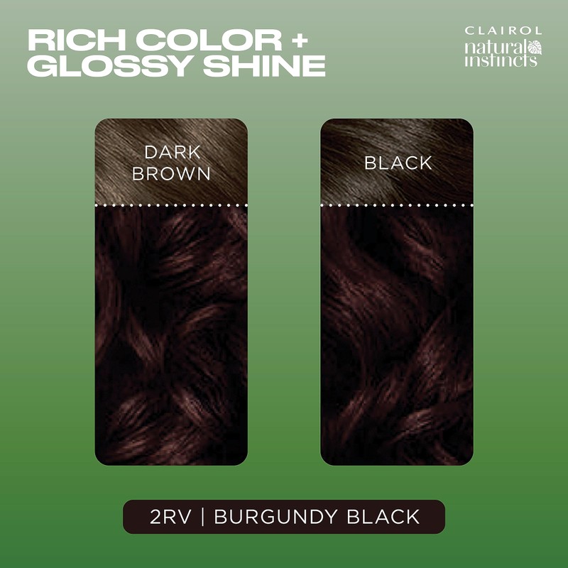 Clairol Natural Instincts Demi-Permanent Hair Dye, 2RV Burgundy Black Hair
