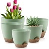 Plant Pots 10/9/8/7.5/7 Inch Self Watering Pots, Set of 5 Plastic Planters with Drainage Holes and Saucers,Plastic Flower Pots,Nursery Planting Pot for Indoor Out Door Plants（Green）