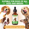 Dog Gut Health Supplement Drops mit Probiotika - 60ml, 100%