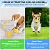Interactive Ball for Dogs, Automatic Moving Dog Toy Ball with