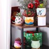 Remerry 6 Pcs 3.5 Inch DIY Ceramic Succulent Pots for