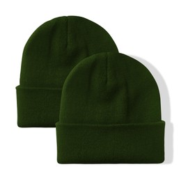 NPJY 2 Packs Unisex Beanie for Men and Women Knit Hat Winter Beanies Green
