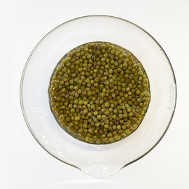 Real Chinese Fresh Sansho Pepper, Sichuan Pepper, Salted, Fresh Flower Sansha, Hoajao, Spice, Commercial Use (Trial 3.5 oz (100 g), M113