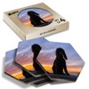 4 x Hexagon Coasters - Beautiful Irish Water Spaniel Dog
