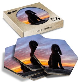 4 x Hexagon Coasters - Beautiful Irish Water Spaniel Dog Cork Backed MDF Glossy Tea Coffee Accessory #50213