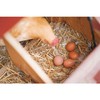 Garden Elements Straw Bale by Shady Creek Farm, Multi-Use for