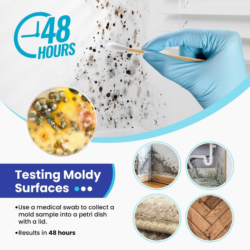 Thbro Mold Test Kit for Home Air: DIY Mold Detector