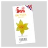 FMM Daffodil Cutter