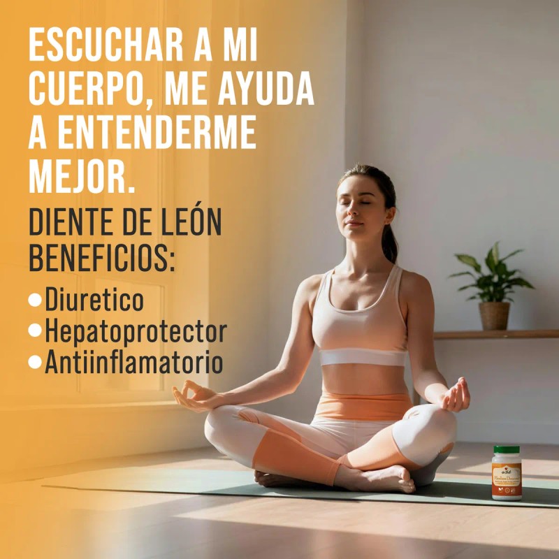 Gatlali Herbes Douces Jengibre T Verde Manzanilla Digestin Sin Sabor