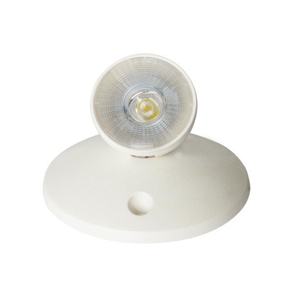 RP Lighting 5-Inch LED Remote Head Emergency Light with Wide