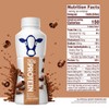 Nutrition PIan - ChocoIate High Protein Milk Shake - 30g