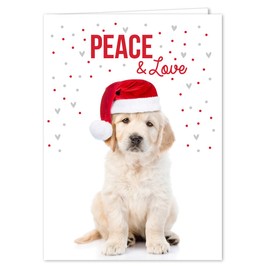 Labrador Love Holiday Card Pack / 25 Cards And Envelopes Pack/Festive Santa Hat Puppy Design With Greeting Inside/Dog Christmas And New Year Cards