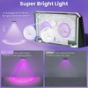 APILAB Solar Fence Lights Outdoor 8 Pack - 8 Modes