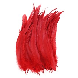 M METERXITY 50-Pack Piume Naturali di Coda di Gallo, 10-12 Pollici / 25-30 Cm di Lunghezza Piume di Coda di Gallo per Creazioni/Matrimoni/Acchiappasogni/Decorazioni Fai da Te [Rosso]