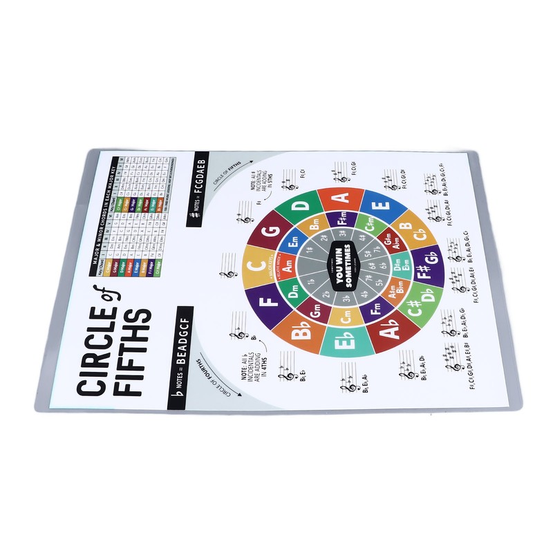 Ukulele Chord Sheet Professional Educational Reference Guide Ukulele Chord Poster