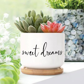 DecStic Sweet Dreams Planters Ceramic Bible Verse Round Plant Pots with Drainage Holes and Bamboo Tray Pot for Home Office Decoration