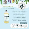 Organic Castor Oil-Ricinus Communis-100% Pure, Clean, Naked Castor Oil, (32